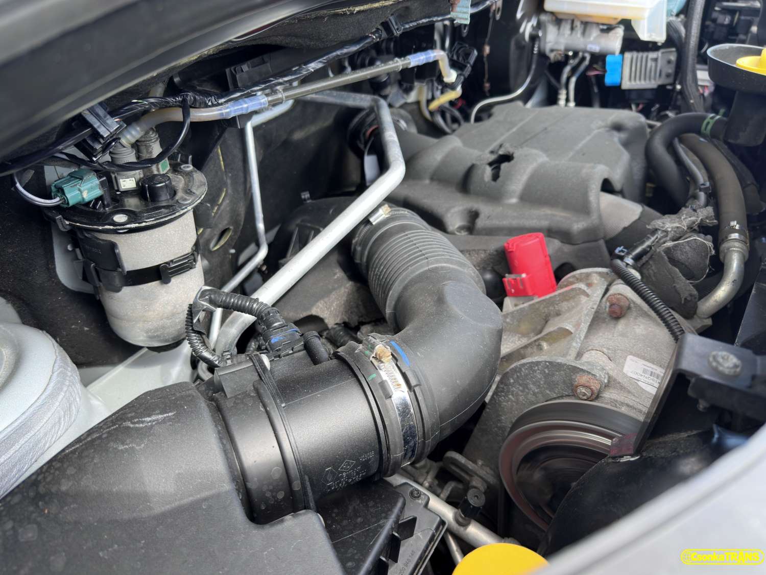 RENAULT Master, L3H2, THERMOKING, XARIOS, -20C - 10