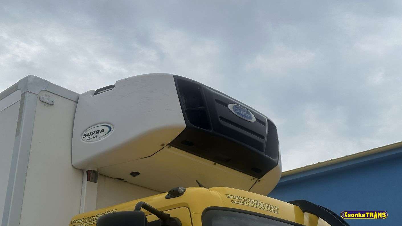 DAF LF250 FA, Eur 6, BI-TEMP, 6.7 liter, Supra 750 Mt, Dhollandia 1500 - 19